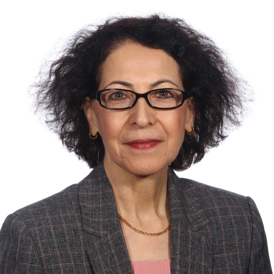 Nasrin Kashefi